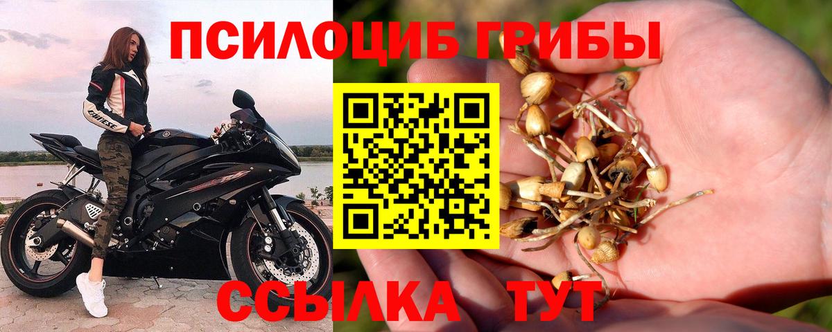 как найти закладки  Псилоцибиновые грибы ЛСД  Вход с VPN  Уссурийск 